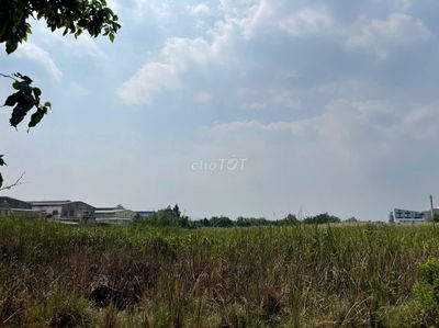 CHUYỂN NHƯỢNG 6,5 HECTA ĐẤT KHU CÔNG NGHIỆP TẠI VĨNH LONG