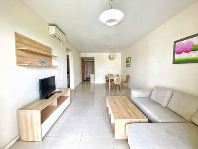 Bán gấp căn hộ Đất Phương Nam, 3PN, 2WC, nội thất, sổ hồng