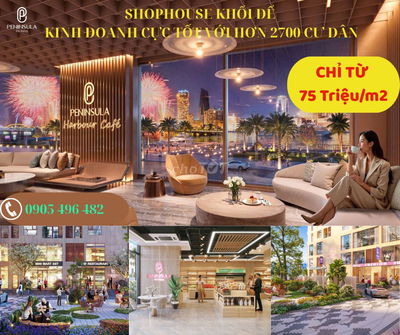 Nhà phố thương mại kinh doah,cho thuê cực tốt ngay đường Trần Hưng Đạo