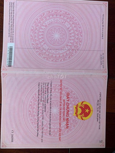 BÁN ĐẤT TRỒNG CÂY CAO SU LÂU NĂM