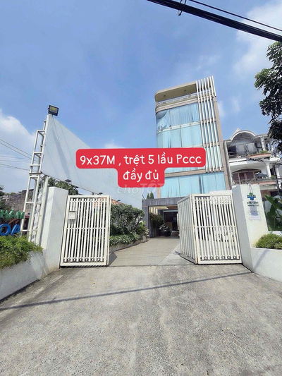 🏢 Cho thuê nhà mặt tiền Hương Lộ 2 – DT 9x37m – 1 trệt 5 tầng