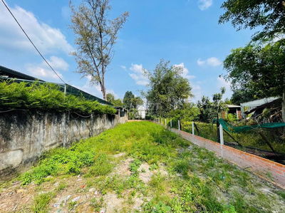 Chuyển nhượng gấp lô đất 320m2 MT nhựa thông tại Thị Trấn CC.Giá 890tr