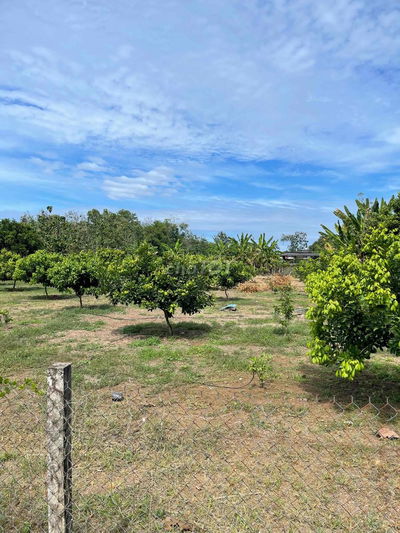 cần bán gấp đất đẹp vuông vắn sát thị trấn định quán