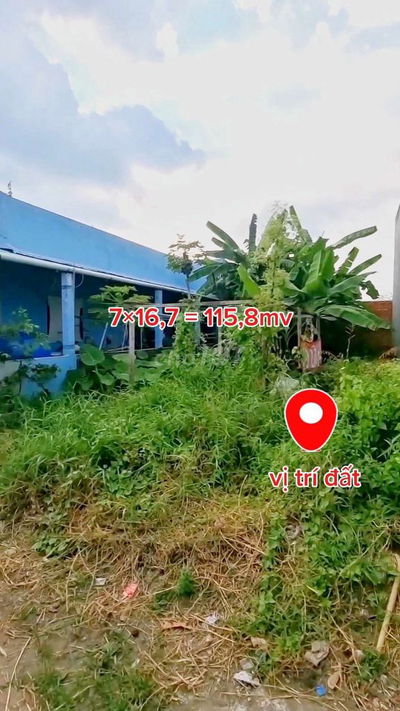 115,8mv THỔ CƯ ,P7 TP TÂN AN LONG AN ,GIÁ 570tr tlcc