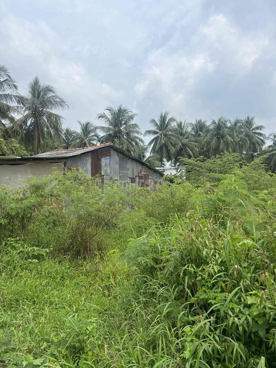 Bán đất nền có 100m2 Thổ cư