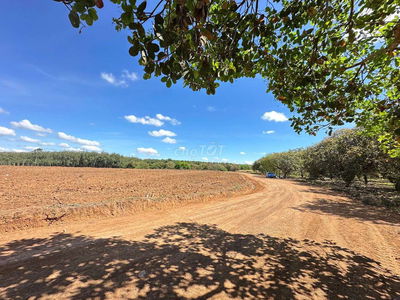 Bán lô đất kế cạnh KCN gần tuyến số 2, 3300m2, giá 1tỷ bao mọi chi phí