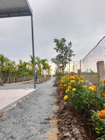 Nhà vườn giá siêu rẻ