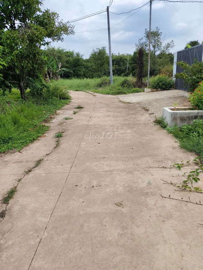 Đất vườn trái cây gần trung tâm