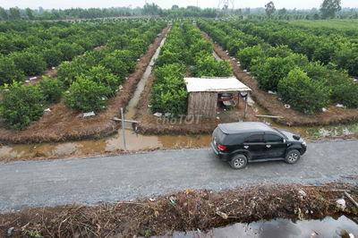 đất vườn Long An giá rẻ