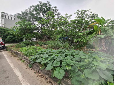 Bán đất  Thj Trấn Trôi Hoài Đức. cổng LIDECO 70m mt 5,5 chỉ 11 tỷ