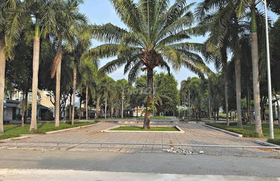 ĐẤT BIỆT THỰ TĐC VẠN HẠNH VIEW CÔNG VIÊN TRUNG TÂM PHÚ MỸ