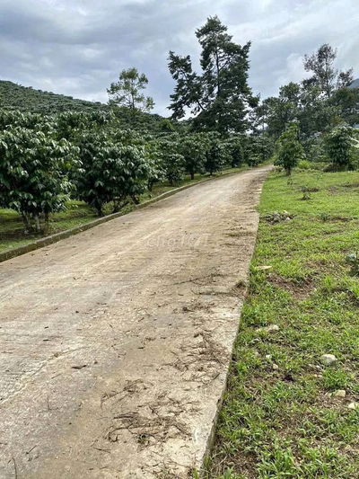 Rất cần bán đất vườn tại Đồng Nai chính chủ, bán nhà vườn