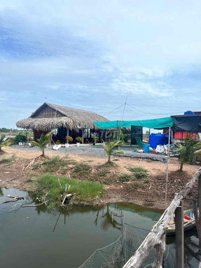 bán đất biển đường nguyễn trãi biển rạch bùn