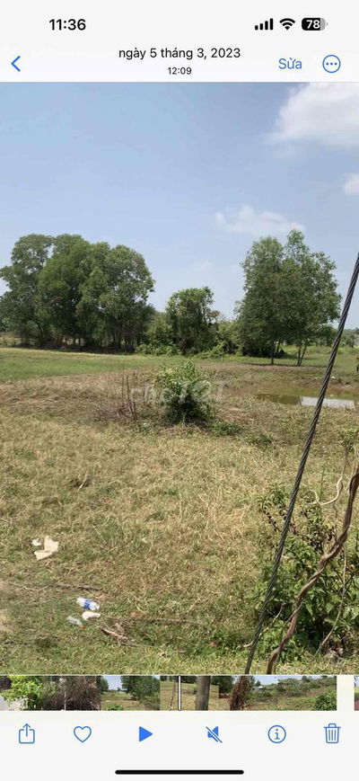 đất sổ hồng 1.000 m2 đường huỳnh thị xăng,xã ơn nhơn tây,tphcm