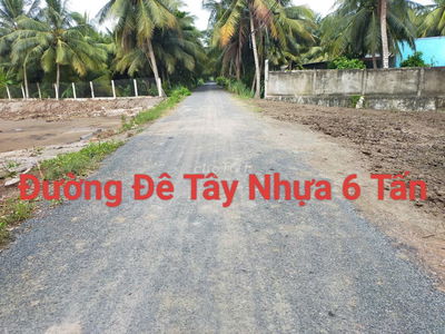 Đất mặt tiền nhựa lớn 156m2 gần thị trấn chợ gạo sát tỉnh lộ 864
