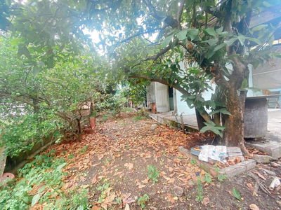 BÁN NHÀ SÂN VƯON CẤP 4 10X14 HẺM 06 NGUYỄN HỮU CẢNH SỔ HỒNG RIÊNG