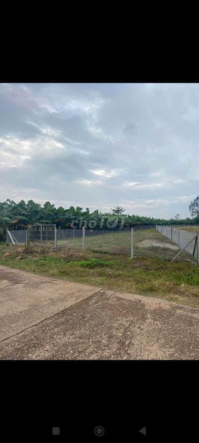 Cần bán đất gấp. Xã Sông ray. Tình Đồng Nai