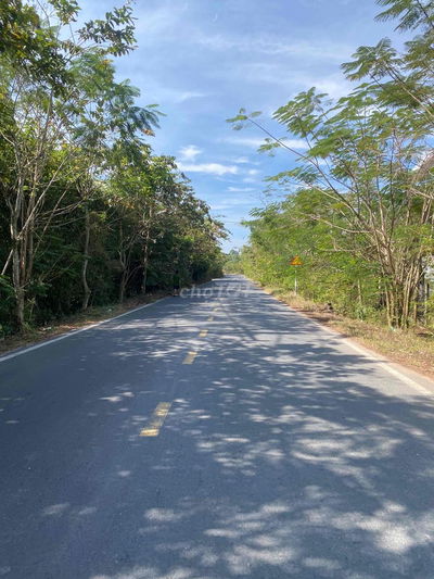 BÁN ĐẤT TRUNG LẬP – CỦ CHI DIỆN TÍCH 130m²