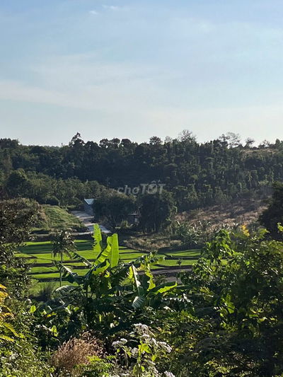 BÁN ĐẤT CHÍNH CHỦ CUỐI HẺM 451 ĐƯỜNG YMON