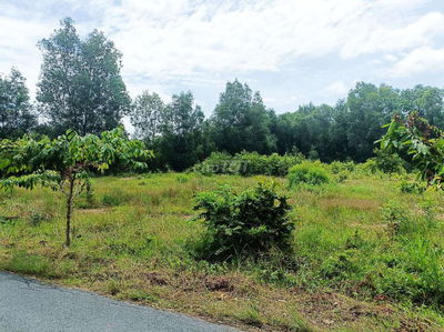 Đất đường Tăng Thị Hội - 4007m - 74x88 - 3425m thổ cư - Củ Chi