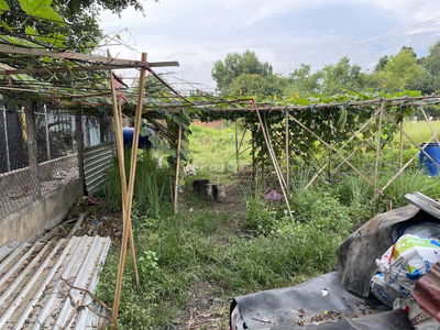 đất ở mặt tiền đường rộng 12 mét