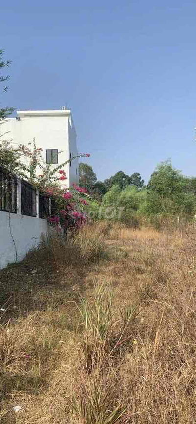 🔥GẦN 800M2 -  ĐẤT MẶT TIỀN TỈNH LỘ 8 – NHUẬN ĐỨC, CỦ CHI – GIÁ TỐT 5.