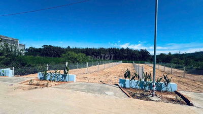 Đất full thổ cư, đường bê-tông Lâm Đồng tặng cổng hoa trắng chỉ 309tr