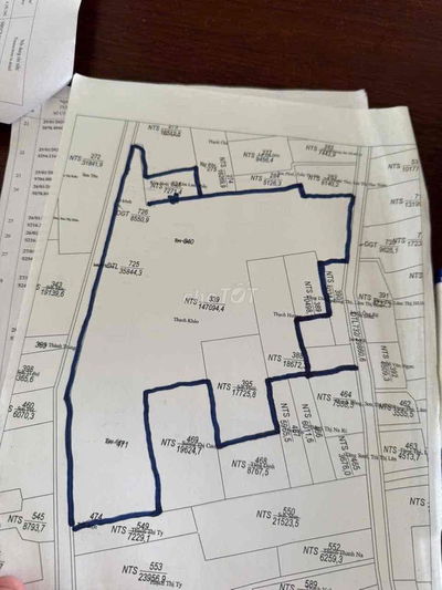 Đất sổ hồng 240000m2 xã Vĩnh Hiệp, thị xã Vĩnh Châu, Sóc Trăng