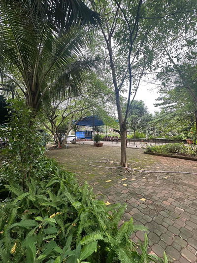 🔥🔥🔥 Cho Thuê MB KDC Nam Long p. PLB Q9 Diện tích : 1200m2 ( mặt bằng v