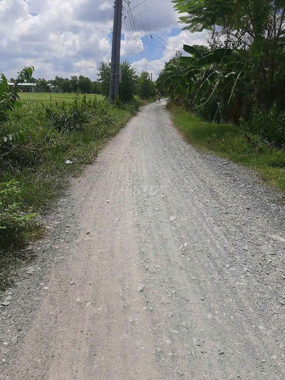 Nền 10 x 50 đất vườn