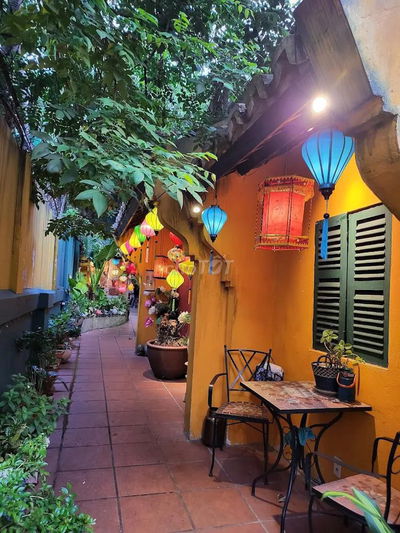 🌿 Biệt thự Tú Xương, Q3 – Có sân vườn, không gian hiếm giữa trung tâm