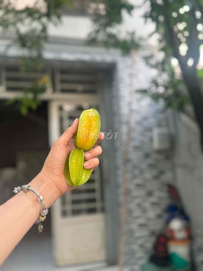 BÌNH TÂN HẺM XE TĂNG THÔNG TỨ LUNG TUNG