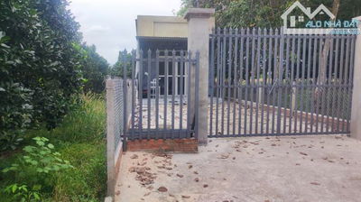 Gia đình chú 4 vỡ nợ cần bán gấp vườn mít 500m2(200tc)