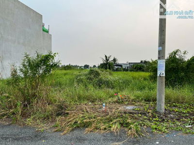 Chỉ 950tr - 80m2 - Shr - Xây Dựng Tự Do - Tl 826 - Tân Trạch - Cần Đước - Long An