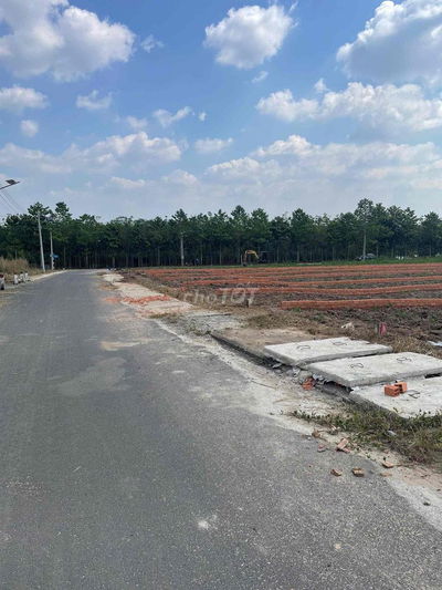 Đất mặt tiền đường nhựa 10x25 gần KCN An Linh.TP HCM