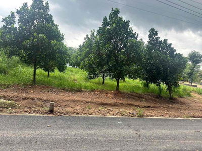 Đất vườn mít bán xả lỗ