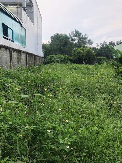 Đất 135m2 full thổ cư - gần chợ Hóc Môn hẻm 5m xe tải