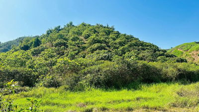 Chính chủ cần bán lô đất tại Cát Tiên Lâm Đồng tổng diện tích 4,7ha