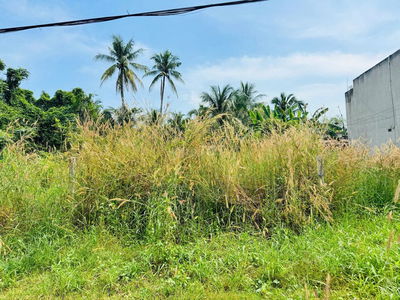 BÁN LÔ ĐÁT MẶT TIỀN 200M2 GIÁ 1,1 TỶ ĐƯỜNG CÂY BÀI XÃ PHƯỚC VĨNH AN