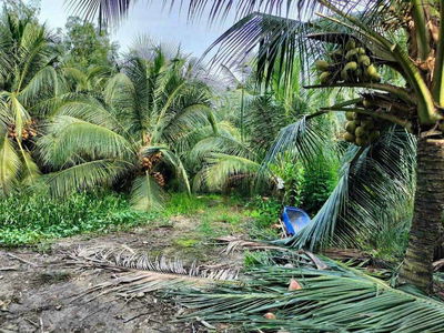 Bán đất Bình Chánh giá rẻ