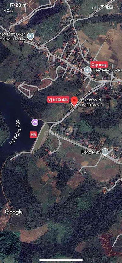 giá hạt rẻ, tiềm năng cao