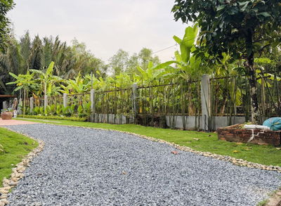 Bán đất vườn thổ cư Quận 9 sau chợ Long Phước 219,6m² - ngang 7,5m vuông vứt