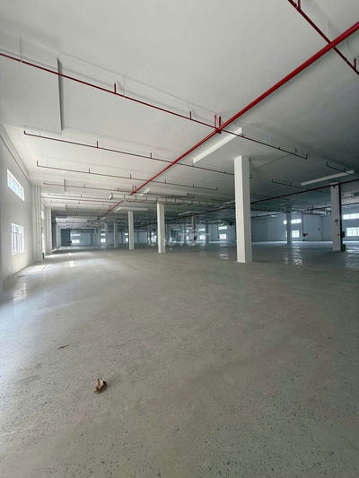 Cho Thuê Nhà Xưởng KCN Bình Dương,
Quy mô khuôn viên dự án 20.000m