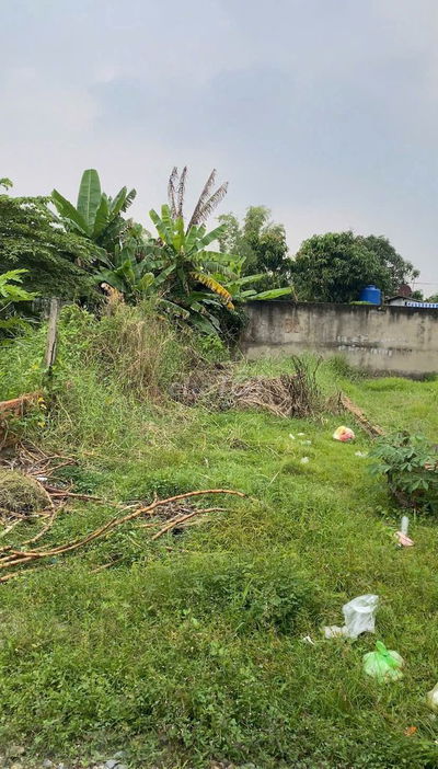 Đất thổ cư Gần Chợ Hưng Long Bình Chánh. 90m2 đường betong 4m. Sổ sẵn