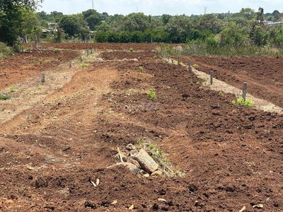 Mặt tiền nhựa- Bàu Chinh (cũ)-TPHCM