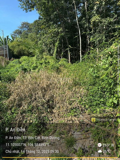 CHO THUÊ ĐẤT TRỐNG 700M2 BẾN CÁT