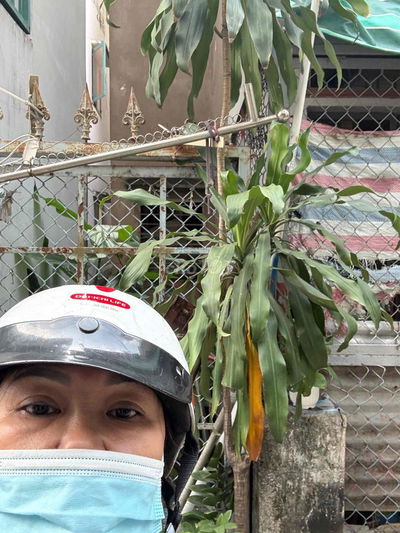 Nhà cũ Phan Chu Trinh, xây dựng 5 tầng, chỉ 5,9 tỷ