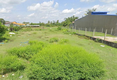 Cần bán lô đất 584m2 giá 800 triệu đường Tỉnh Lộ 7 gần chợ Phước Thạnh