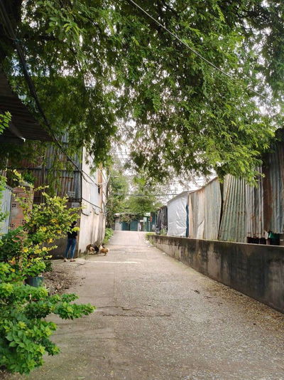 Chủ cần bán gấp căn nhà đường Nguyễn Xiển 89m2 giá 4 tỷ 4 TL