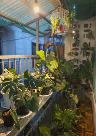 Phòng cho thuê hẻm 108 đường Vũ Tùng, P.2, Quận Bình Thạnh